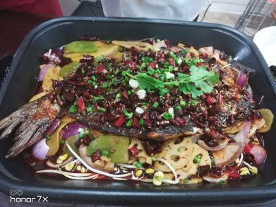 正宗烤魚技術(shù)培訓(xùn)，一條魚火一座城