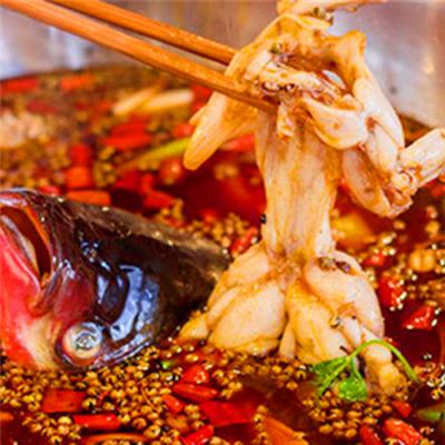 成都美蛙魚頭火鍋技術(shù)培訓(xùn)哪里專業(yè)？多元化的產(chǎn)品