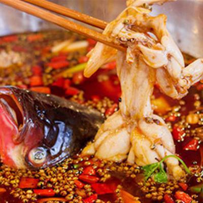 重慶美蛙魚頭火鍋技術(shù)培訓(xùn)多少錢？