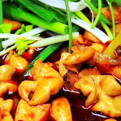 肥腸雞技術(shù)培訓要去哪里學？